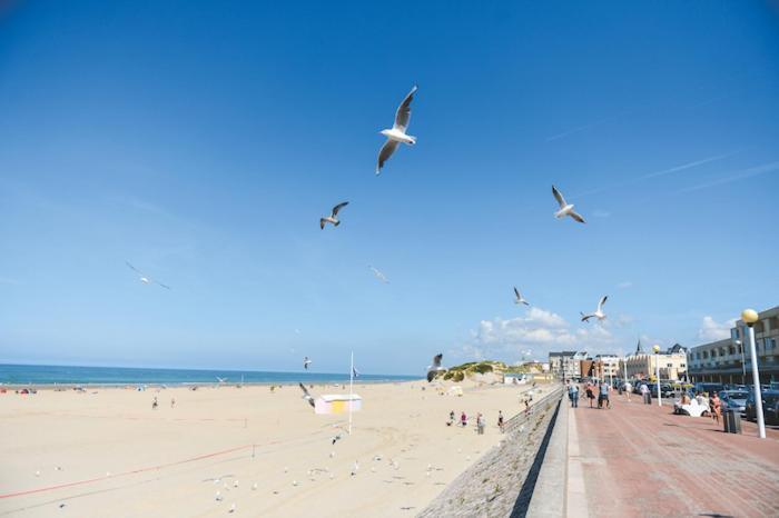 Appartement Lumineux, 400M De La Plage. Berck エクステリア 写真